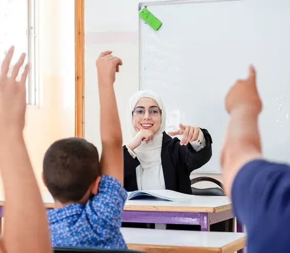 A Market Built On Structural Tailwinds